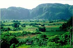 The Canarias Cooperation will Help to Residents of Cuba''s Viñales Valley